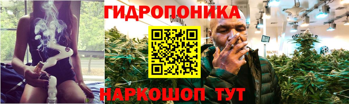 Марихуана конопля Красноперекопск